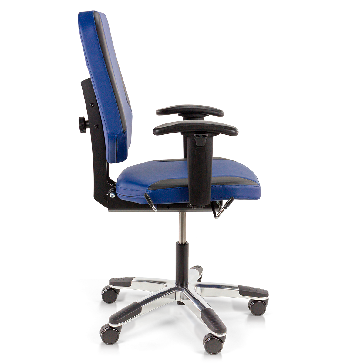 Maxx Small Stamskin Donkerblauw (2)