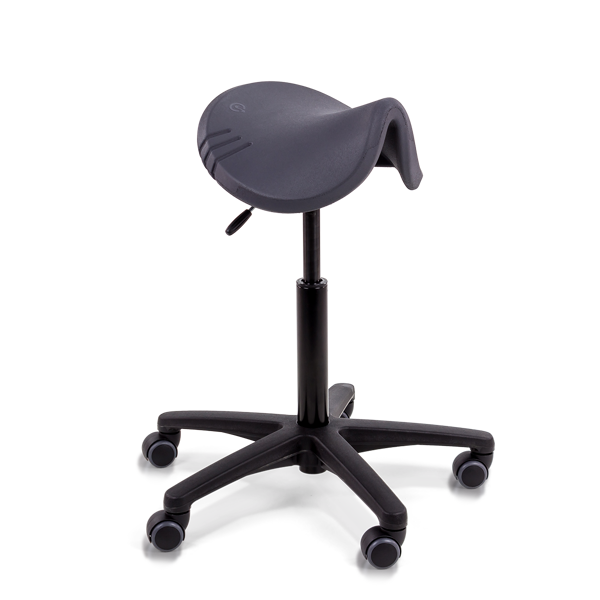 Score Spirit Amazone