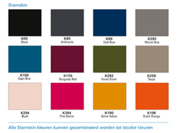 Stamskin Kleuren Palet